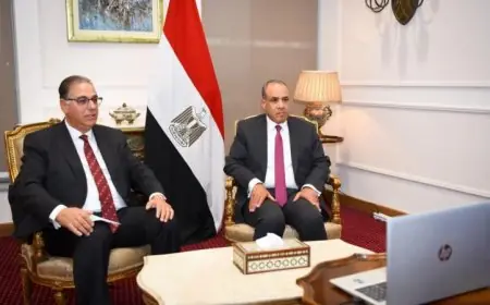 وزير الخارجية يفتتح الصالون الثقافي للمصريين في الخارج لتعزيز الروابط الثقافية