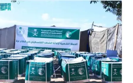 سلمان للإغاثة يواصل توزيع المساعدات الغذائية في جنوب قطاع غزة بصور حصرية