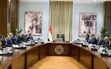 مدبولي يؤكد أهمية التوسع في مشاريع الطاقة المتجددة لإدخالها بسرعة في الخدمة