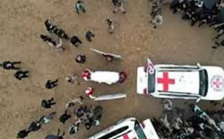 جيش الاحتلال يعلن استلام جثماني محتجزين من قبل الصليب الأحمر