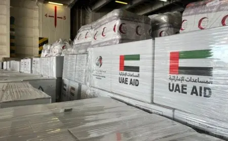 ميناء العريش يستقبل السفينة الإماراتية المحملة بالمساعدات الإنسانية لغزة