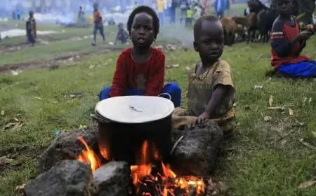 27 مليون شخص في الكونغو الديمقراطية يواجهون خطر المجاعة حسب تقرير الأمم المتحدة