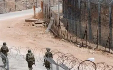 رئيس لجنة التحقيق الدولية يكشف عن قصف إسرائيل لدمشق وتهجير المدنيين قسراً