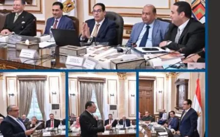 جامعة القاهرة تعلن عن منح دراسية كاملة لأبناء المحافظات الحدودية بعدد 26 منحة