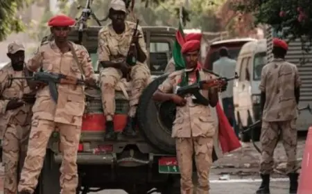 قوات الدعم السريع السودانية توقف مجموعة من مقاتليها في خطوة مفاجئة