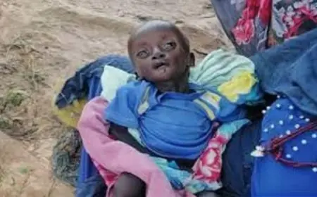 حذر ممثل اليونيسف في السودان من زيادة مقلقة في مستوى العنف ضد الأطفال في الفاشر