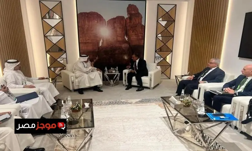 عبد العاطي يبحث التعاون الأمني مع نظيره البحريني في مؤتمر ميونخ للأمن بالسعودية