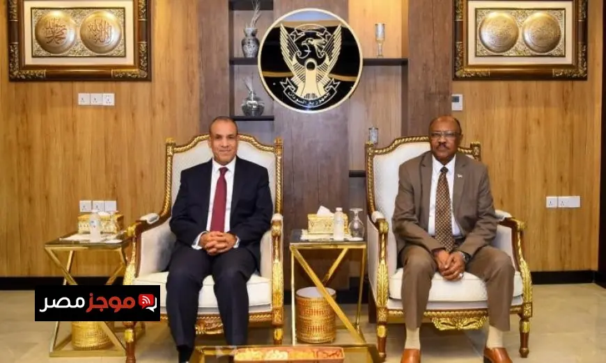الخارجية المصرية تؤكد التزام مصر الجاد بجهود تحقيق وقف إطلاق النار في السودان