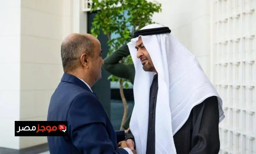رئيس الإمارات يلتقي مع رئيس الوزراء اليمني لتعزيز العلاقات الثنائية بين البلدين