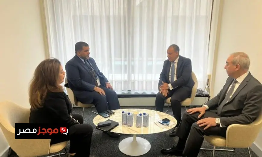 وزير الخارجية يشيد بموقف الإمارات الداعم لترشيح الدكتور العناني لليونسكو