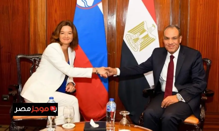 وزير الخارجية يثني على تعميق العلاقات السياسية والاقتصادية بين مصر وسلوفينيا
