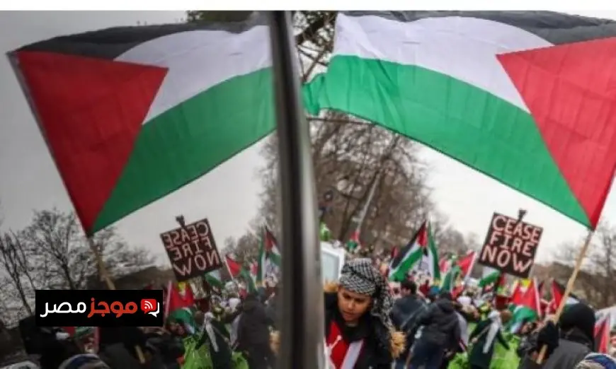 مظاهرات حاشدة في طوكيو تطالب بوقف إطلاق النار في غزة وفرض عقوبات على إسرائيل
