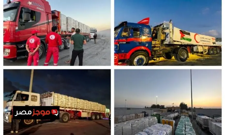 الهلال الأحمر المصري يرسل 1600 طن من المساعدات العاجلة إلى غزة عبر قافلة زاد العزة الـ48