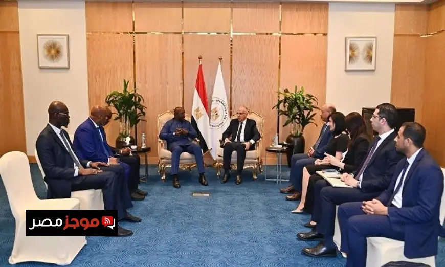 سويلم يؤكد أن السنغال شريك استراتيجي لمصر في قطاع المياه