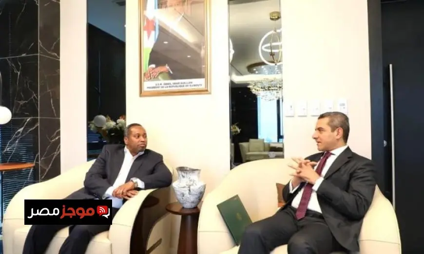 السفير المصري يجتمع مع وزير الطاقة في جيبوتي لتعزيز التعاون الطاقوي