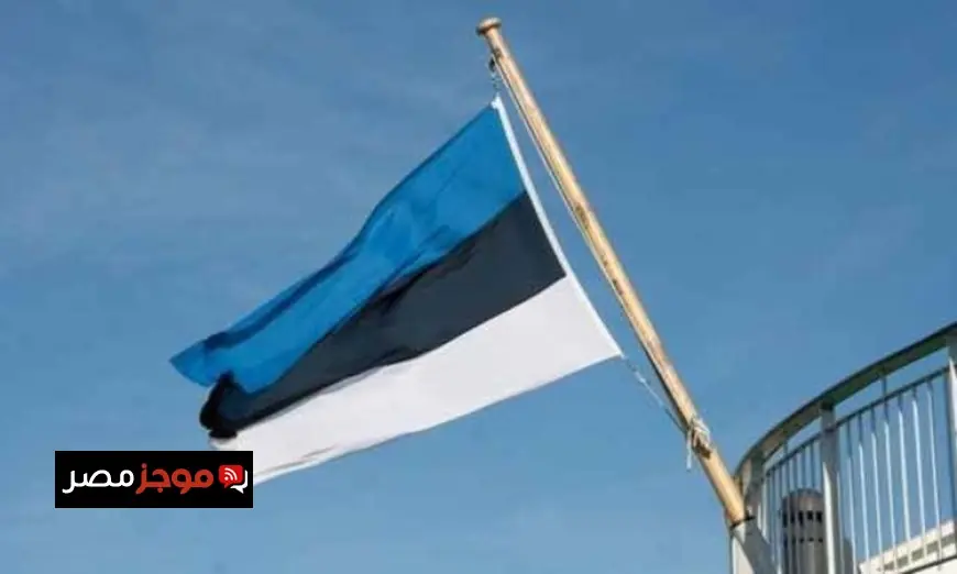 وزير خارجية أستونيا يثني على وساطة مصر وأمريكا وقطر وتركيا في مفاوضات غزة