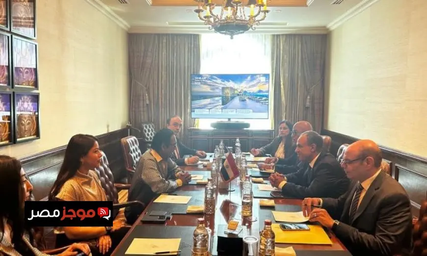 وزير الخارجية يؤكد أهمية تعزيز الاستثمارات الهندية في القطاعات الصناعية لتحقيق التنمية الاقتصادية