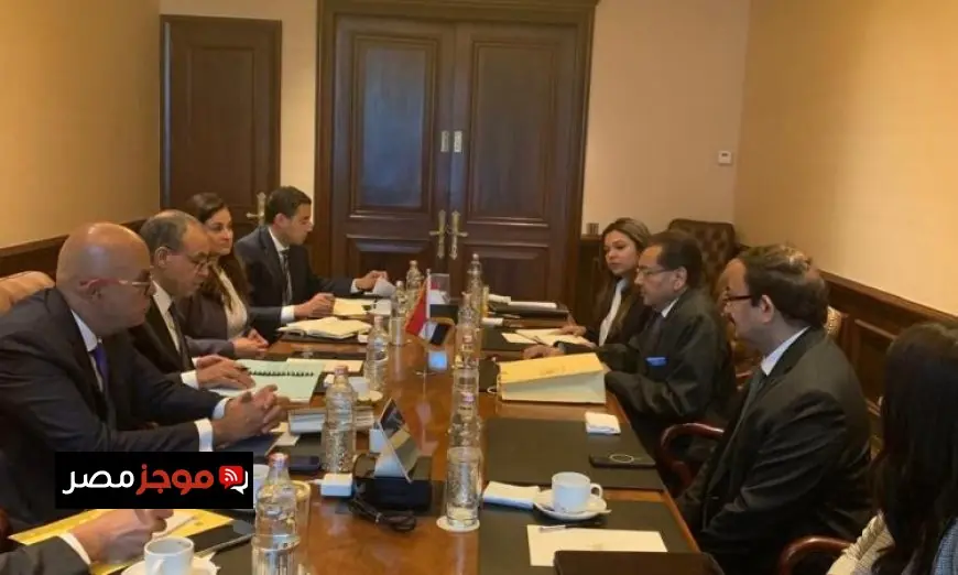 وزير الخارجية يؤكد اهتمام مصر بتعزيز التعاون مع الشركات الأجنبية لاستقطاب استثمارات جديدة