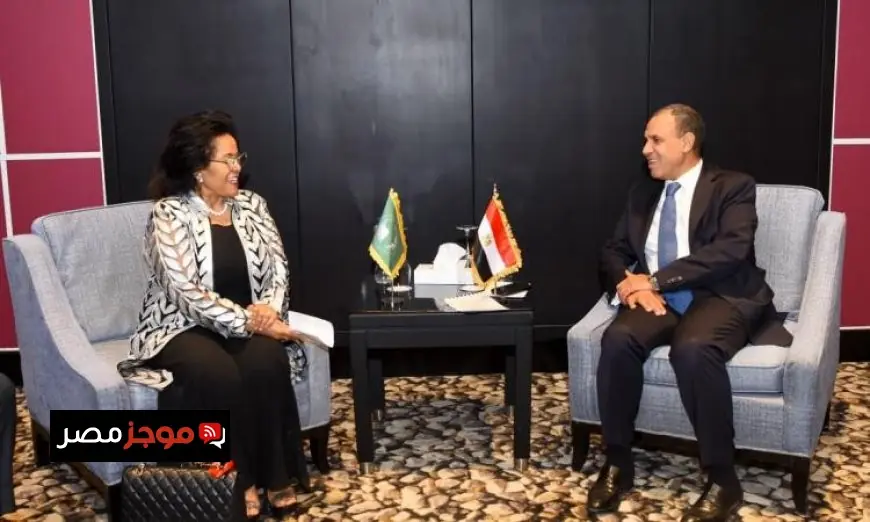 وزير الخارجية يؤكد أهمية تعزيز التعاون المثمر مع وكالة النيباد