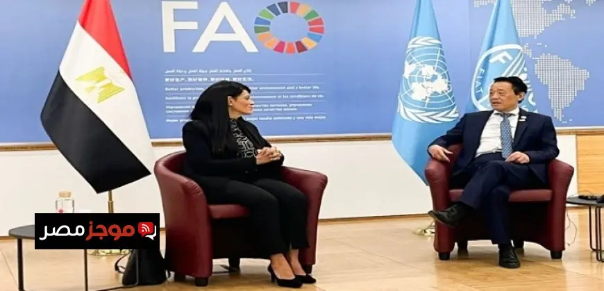 المشاط تتفاوض مع مدير منظمة الفاو لتعزيز التعاون في مجال الأمن الغذائي