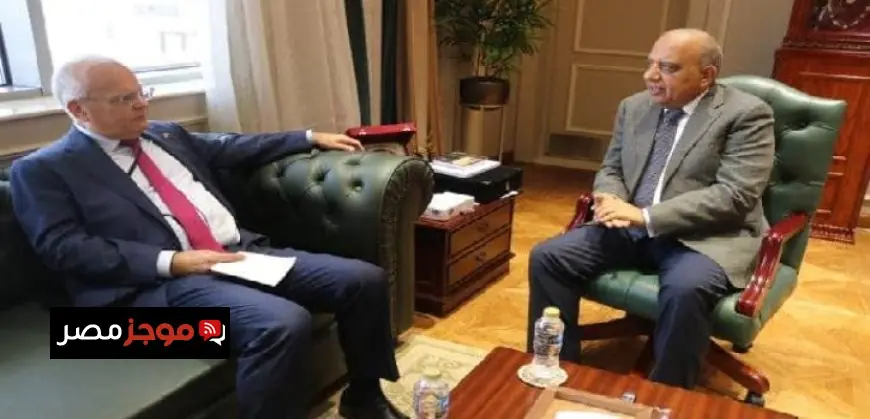 وزير الكهرباء يناقش مع سفير السويد تعزيز الشراكة في الكهرباء والطاقة المتجددة