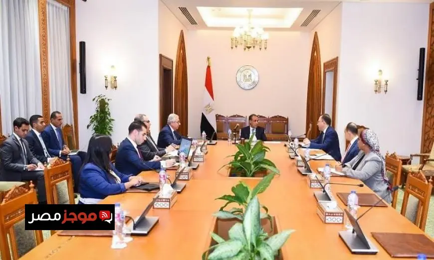 وزير الخارجية يؤكد على ضرورة تعزيز دور مصر في تعزيز العمل الأفريقي المشترك