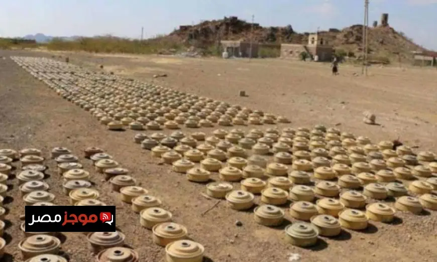مشروع مسام التابع لمركز الملك سلمان للإغاثة ينتزع 805 ألغام من الأراضي اليمنية في أسبوع واحد