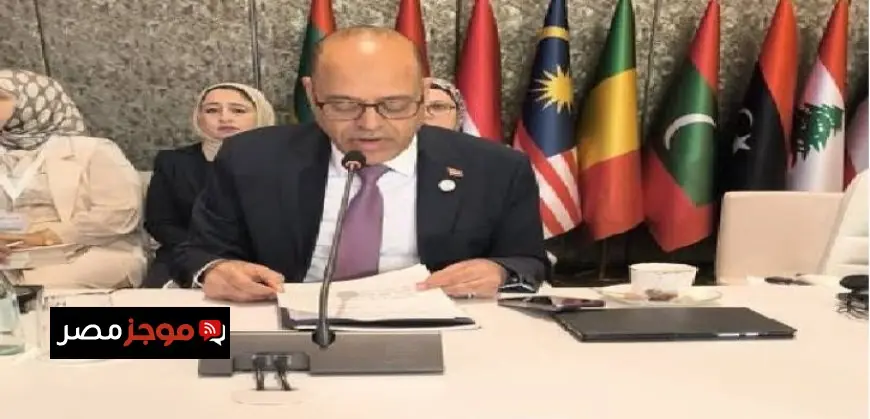 وزير العمل يؤكد على بناء سوق عمل حديث ومتوازن في مصر يتماشى مع الثورة التكنولوجية