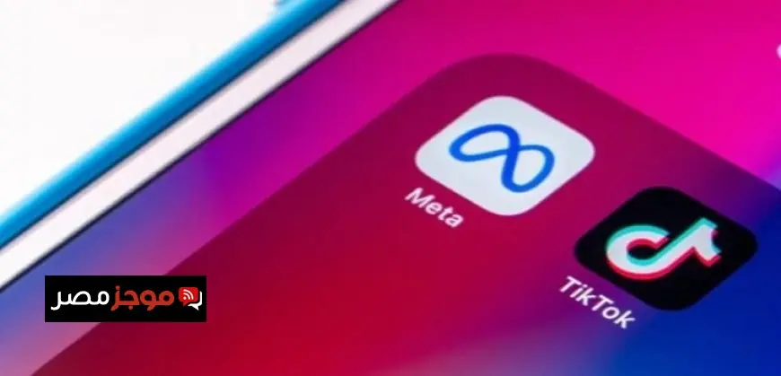 الاتحاد الأوروبي يوجه اتهامات لميتا وتيك توك بانتهاك قوانين تنظيم وسائل التواصل الاجتماعي