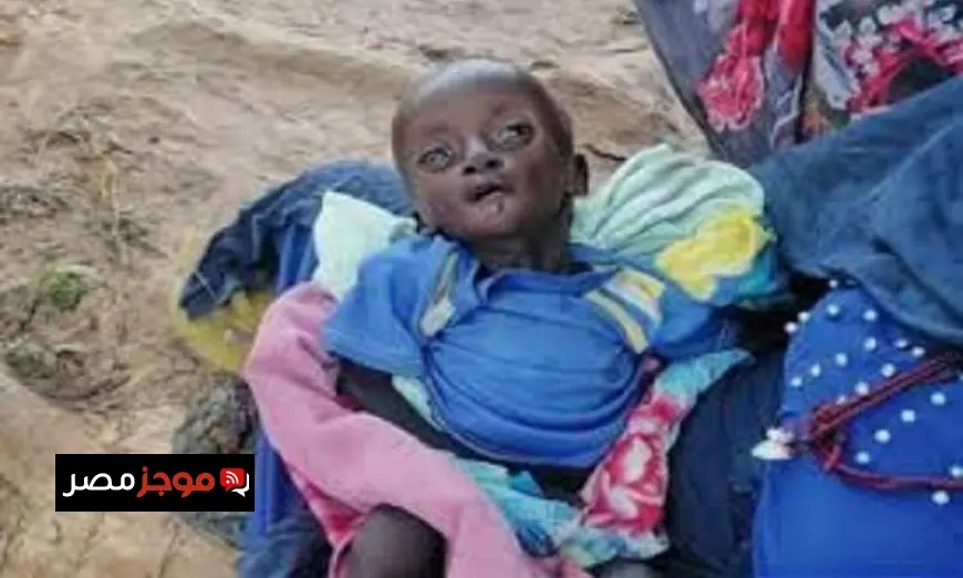 حذر ممثل اليونيسف في السودان من زيادة مقلقة في مستوى العنف ضد الأطفال في الفاشر