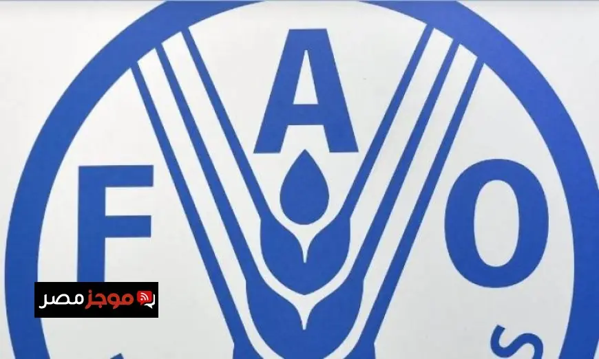 الفاو تكشف عن تضرر 87% من الأراضي الزراعية في غزة وتأثيرها على الأمن الغذائي