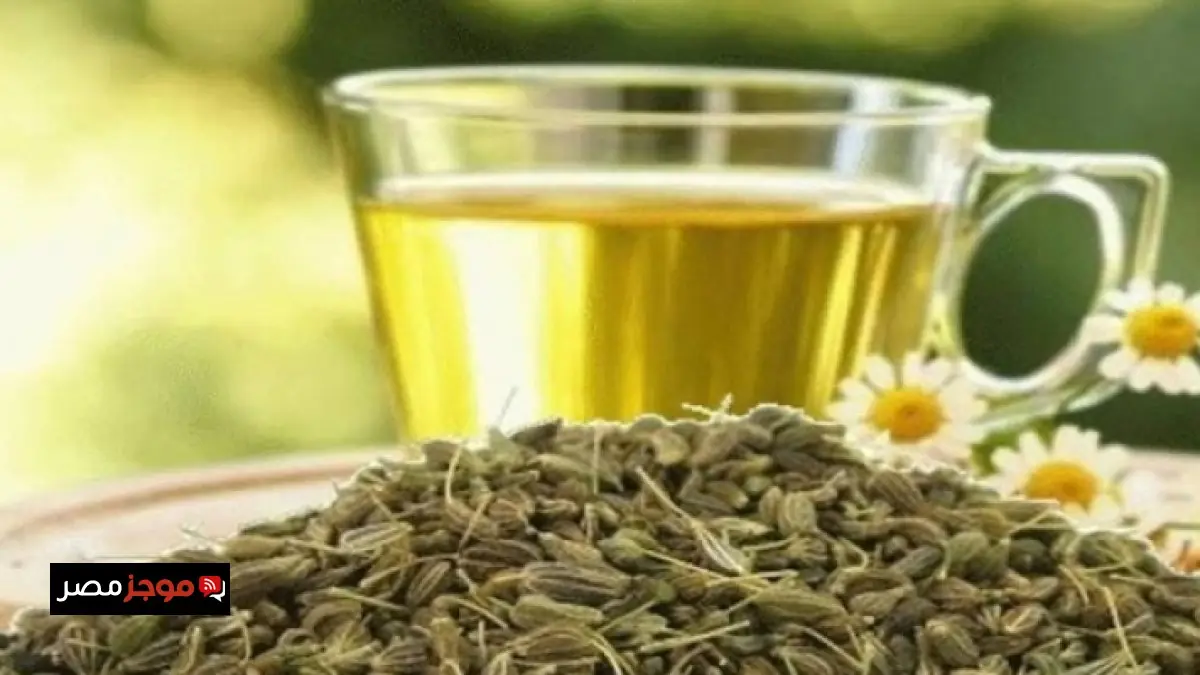 إصدار وثائق إيرهارت العريقة بفضل قرار ترامب التاريخي