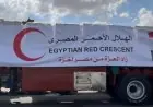 الهلال الأحمر يعلن دخول أكثر من 8 آلاف طن من المساعدات الإنسانية إلى غزة عبر قافلة زاد العزة