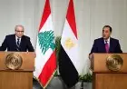 مدبولي يؤكد جاهزية الشركات المصرية للتعاون مع نظيراتها في لبنان