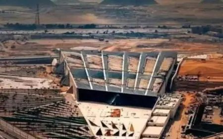 استقبال الوفود المميزة في حفل إطلاق المتحف المصري الكبير