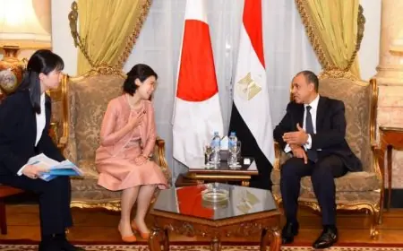 وزير الخارجية يثني على الدعم الياباني في تعزيز المتحف المصري الكبير