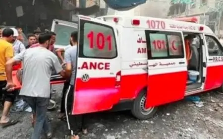 استشهاد فلسطينيين وإصابة شخص آخر بنيران الاحتلال الإسرائيلي في غزة