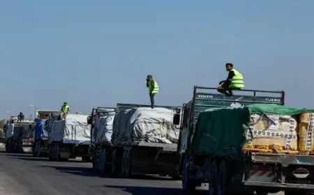 الأمم المتحدة تكشف تفاصيل دخول 560 طنا من الغذاء يومياً إلى غزة وتؤكد الحاجة إلى مزيد من المساعدات الغذائية