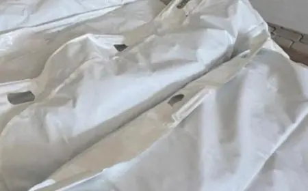 نادى الأسير الفلسطينى يكشف عن إعدام الاحتلال لجثامين شهداء غزة بعد اعتقالهم