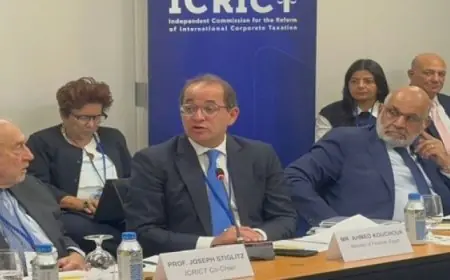 وزير المالية يؤكد أهمية زيادة استثمارات الشركات الأمريكية في الاقتصاد المصري