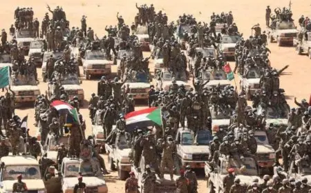حركة جيش تحرير السودان تعلن عزمها على استعادة النصر والقضاء على مليشيا الدعم السريع المتمردة