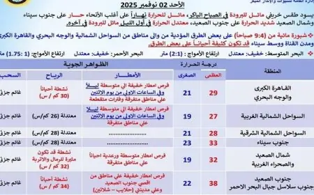 غدا طقس مائل للحرارة مع فرص لزخات أمطار خفيفة ودرجات الحرارة في القاهرة تصل إلى 29 درجة