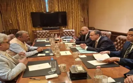 وزير الخارجية يلتقي رئيس Ocior Energy خلال زيارته الحالية للهند لتعزيز التعاون في مجال الطاقة المتجددة