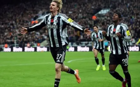 نيوكاسل يتفوق على توتنهام ويتأهل إلى ربع نهائي كأس الرابطة