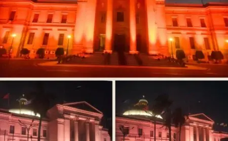 جامعة القاهرة تنير مبانيها الرئيسية احتفالاً بافتتاح المتحف الكبير