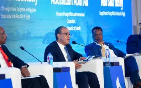 وزير الخارجية يؤكد أن حوكمة البحر الأحمر تظل من اختصاص الدول الساحلية فقط