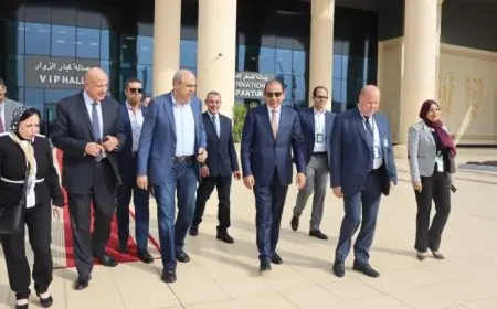 صور مطار القاهرة الدولي ومطار سفنكس يشهدان نشاطا مكثفا في حركة الطيران