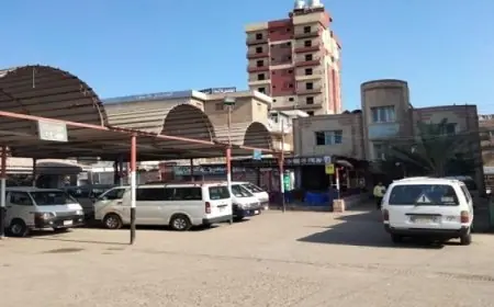 الرئيس السيسي يثمن دعم النرويج للقضية الفلسطينية ويؤكد على أهمية التعاون الدولي