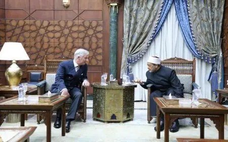شيخ الأزهر يستضيف ملك بلجيكا لتطوير حوار الأديان وتعزيز التعاون الثقافي