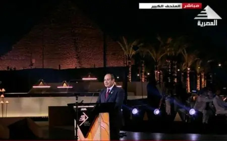 حزب الجبهة الوطنية يحتفل بافتتاح المتحف المصري الكبير ويبرز أهمية الثقافة المصرية